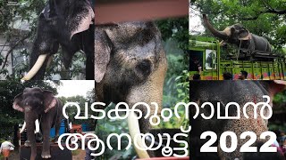 Vadakkumnathan Aanayoottu 2022   വടക്കുംനാഥൻ ആനയൂട്ട് 2022 #thrissur #vadakkumnathan #aanayoottu