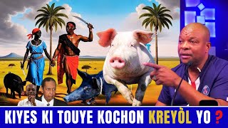 Rudy Sanon Bay Detay Sou moun ameriken peye fè Touye Kochon Kreyol nou yo. Tann fen an