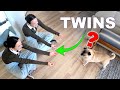 Can Our Pets Tell Twins Apart?