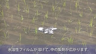 製剤の紹介（浮上型ジャンボ剤：水稲用除草剤）