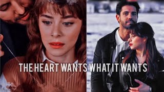 the heart wants what it wants | ela & ilker