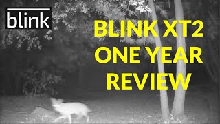 Blink XT2 Security Camera System Review
