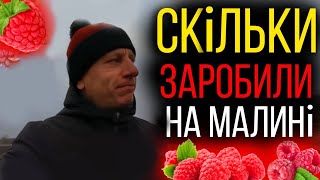 Скільки заробили на малині? Чи можна за сезон заробити грошей на рік? Фінансовий звіт за рік.