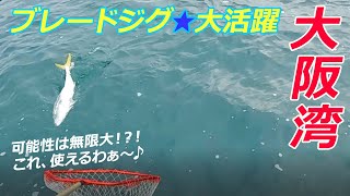 【ブレード付きジグがすごかった！】大阪湾 ライトジギングでハマチ～♪2022年10月9大潮