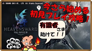 今さら始めるファイナルファンタジー14!!!【有識者パイセン方、助けて!!】