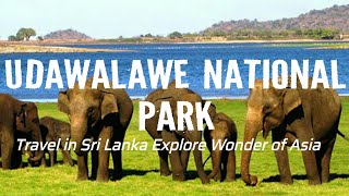 Udawalawe National Park | Travel in Sri Lanka Explore Wildlife in Asia