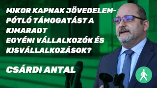 Mikor kapnak jövedelempótló támogatást a kimaradt vállalkozások? Csárdi Antal | LMP | Parlament