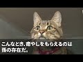 【スカッとする話】コネ入社の部長の息子に遅刻を注意するとクビ宣告された65歳で再雇用の俺。部長「再雇用の分際で貴様は何様だ！即クビだ」→直後、社長が現れ「私の父が何か？」部長「え？」【修羅場】