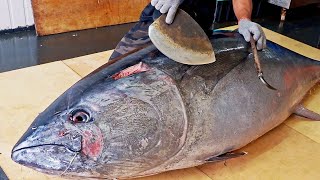 LIVE 🔥🔥: Amazing Tuna Cutting Skills in Action! /驚人的技巧！巨大黑鮪魚切割大師, 鮪魚金三角