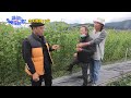 【請問今晚住誰家】ep499 宜蘭三星鄉尋寶之旅 超甜荷蘭豆味道像竇竇的味道？！ 竇智孔、黃鐙輝 週一至週四晚間10點 東森超視33頻道