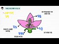 초능력 비주얼씽킹 과학 6 생명 26. 식물의 꽃과 열매가 하는 일
