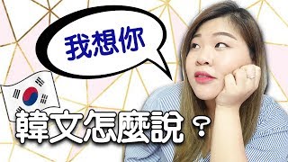 [韓語教室] 我想你 “보고싶다” 的韓文是什麼？ l Cher is chercher韓語小教室