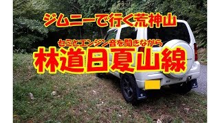 ジムニーで行く荒神山　セミとエンジン音を聞きながら林道日夏山線を行く