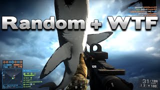 Battlefield 4 Random + WTF 16