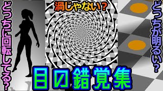 【ゆっくり解説】長時間の閲覧注意！目の錯覚集【錯視効果】