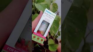 Mamaearth Bye Bye Open Pores Face Cream!!🌼✨ | Open pores solution cream!! | #shorts #mamaearth #yt