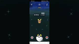 pokemon go 異色咚咚鼠