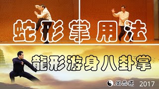 龍形遊身八卦掌應用 坎掛~蛇形 形意拳  #中国武术 #气功#形意拳 #八卦掌 #太極拳#氣功#武術#蛇形#kungfu #xingyiquan#baguazhang#MartialArts