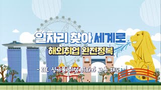 해외취업 완전 정복, 싱가포르편 3 - 싱가포르 취업 비자와 고용제도