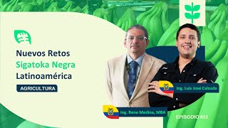 Enfrentando Nuevos Retos de Sigatoka Negra en Latinoamérica | Con Ing. René Medina, MBA – Ep. #035