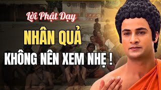 Nhân Quả Nghiệp Báo Luân Hồi – Lời Phật Dạy Không Nên Xem Nhẹ
