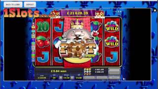 Reel King Potty Highlights #1 - Brand New online slot.