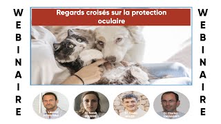 Webinaire #13 : Regards croisés sur la protection oculaire