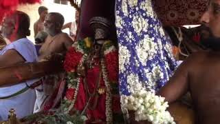 Srirangam Radhu -Lord Ranganatha at our colony 2018