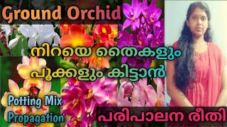 ഗ്രൗണ്ട് ഓർക്കിഡ് പൂത്തുലയാൻ ഇതുപോലെ നടൂ, Orchid Care, pottingmix, propagation, Fungicide,Fertilizer