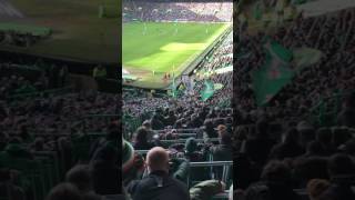 Green Brigade / Standing Section at Celtic Park