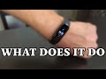 Amazfit Band 5 Fitness Tracker with Alexa Built-in - Reviewed