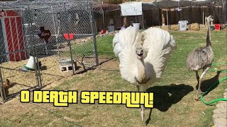 Farm Chores but Hardcore SPEEDRUN 0 DEATHS! (World Record!)