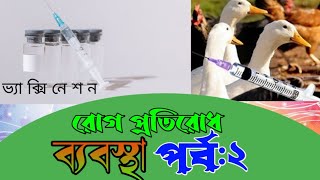 হাঁসের ভ্যাকসিন/টিকা ব্যবহারে সর্তকতা ও নিয়মাবলী।রোগ প্রতিরোধ ব্যবস্থা পর্ব ২। mitu duck farm.