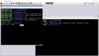 Java Network exercise: bi-direction communication, between echo server and client
