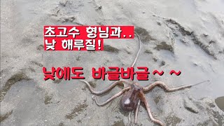 초고수 형님과 낮해루질! 낮에도 바글바글~ #해루질