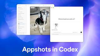 Introducing Appshots in Codex