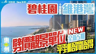 劈價靚景單位 | 碧桂園十里銀灘 | 維港灣 | 全新5期 | 平到唔買唔得【寰宇筍盤 | 上市公司附屬機構】大灣區物業 投資大灣區 粵港澳大灣區 中國 大灣區樓盤