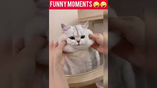Funny Cats | Funny Movements 🤪🤪🤪🤪#shorts