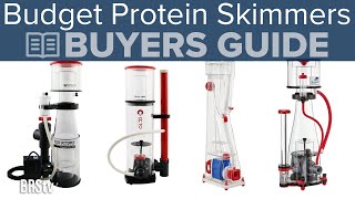 Thomas' Top Protein Skimmers Under $300 and up to 75 Gallons of Reef Tank!