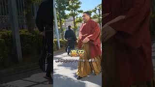 いつも一番のりの高安！#高安 #大相撲初場所 #相撲 #大相撲 #sumo #入り待ち  #shorts