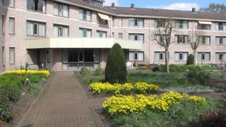 tmas2014 huijbergen; St Marie Garden clips 4