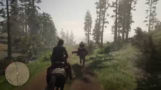 Red dead redemption 2 story line (apologue)