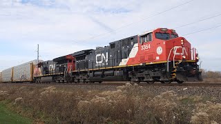 Canadian National  -  Eastbound Rack/Stack Train    3 Nov 24