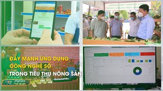 Đẩy mạnh ứng dụng công nghệ số trong tiêu thụ nông sản  | Thái Nguyên TV