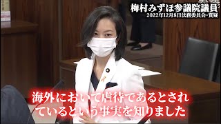 「子供の連れ去りは海外では虐待」梅村みずほ参議院議員【共同親権/親子断絶/連れ去り/児童虐待/片親疎外/離婚】