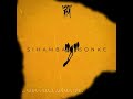 Kammu Dee & Thabza Tee - Sihamba Sonke (Official Audio) feat. Njelic, Felo Le Tee & Rhythm Tee