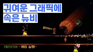 [테라리아] 이거 힐링게임 아니에요?