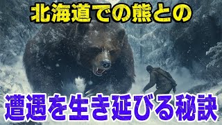 【大自然の魅力と脅威】 北海道での熊との遭遇を生き延びる秘訣