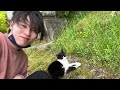 【猫寺】猫の楽園！猫寺日帰り旅！〜福井県越前市〜