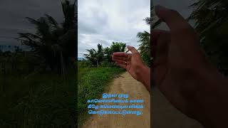 60 சென்ட் விவசாய நிலம் விற்பனைக்கு:90805 39170 | #shorts #shortsvideos | agriland for sale